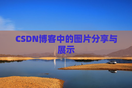 CSDN博客中的图片分享与展示